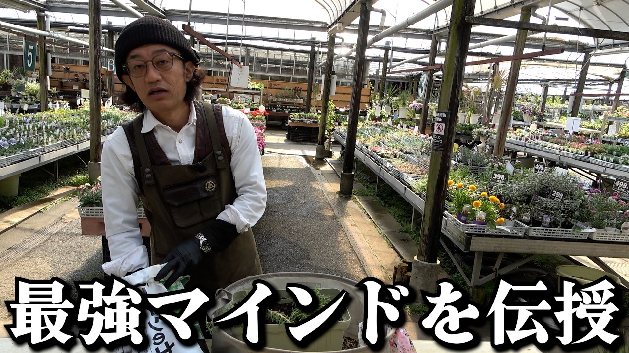 ストレス社会に負けないカーメン君の最強マインドが凄過ぎた！！！【カーメン君】【園芸】【ガーデニング】