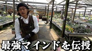 ストレス社会に負けないカーメン君の最強マインドが凄過ぎた！！！【カーメン君】【園芸】【ガーデニング】