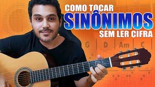 Zé Ramalho - Sinônimos cifra. Aprenda a tocar essa música usando as cifras,  tablaturas e versão simplificada com o Ci… em 2023