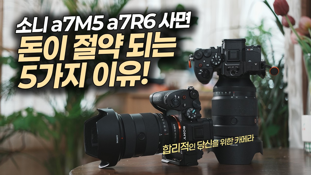 소니 a7M5 a7R6 지금 당장 사야하는 5가지 이유!