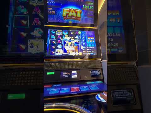 Polestar Casino: Pelatakaasin parhaat pelit verkossa Suomessa - arvostelu