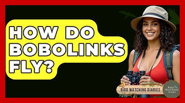 How Do Bobolinks Fly? - Bird Watching Diaries