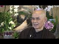 (4) The Little Flame: A Teaching on Birth & Death by Thich Nhat Hanh, 2013 10 16 (Deer Park, CA)