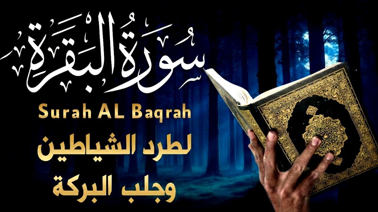 سورة البقرة _ قران الصباح و المساء لحفظ وتحصين المنزل وجلب البركة | Sourah Baqara quran karem