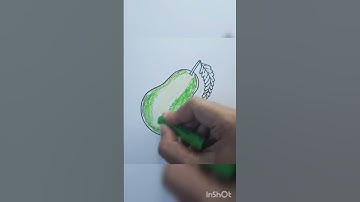 How to draw Pear l easy drawing l detail video @kalaspandan #shorts #viral #fruit #pear #fruits