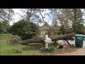 Hurricane Sally Storm Damage Old Spanish Fort Estates Alabama Tree Hazards Episode 74
