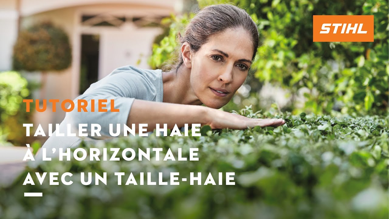 Tutoriel taille-haie n° 4 – Tailler une haie à l’horizontale avec un taille-haie