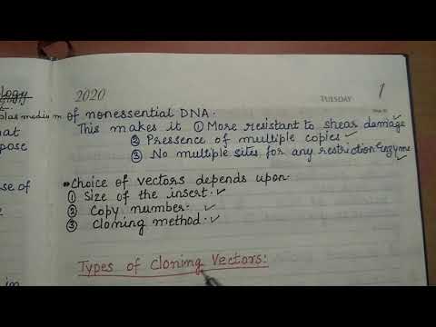 vectors part 1 (plasmid vectors)