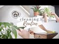 CLEANING ROUTINE | + non-toxic DIY tips & tricks