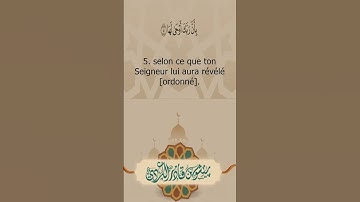 Sourate Al Zalzalah | Peshawa Al-Kurdi (99) سورة الزلزلة | بيشةوا قادر الكردي