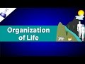 Levels of Biological Organization from Atoms to Ecosystems