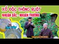 Xổ Độc Đường Ruột, Ngừa U Ruột, Nhuận Sắc Mịn Da, Trị Táo Bón Kinh Niên. Chùa Pháp Tạng 2021