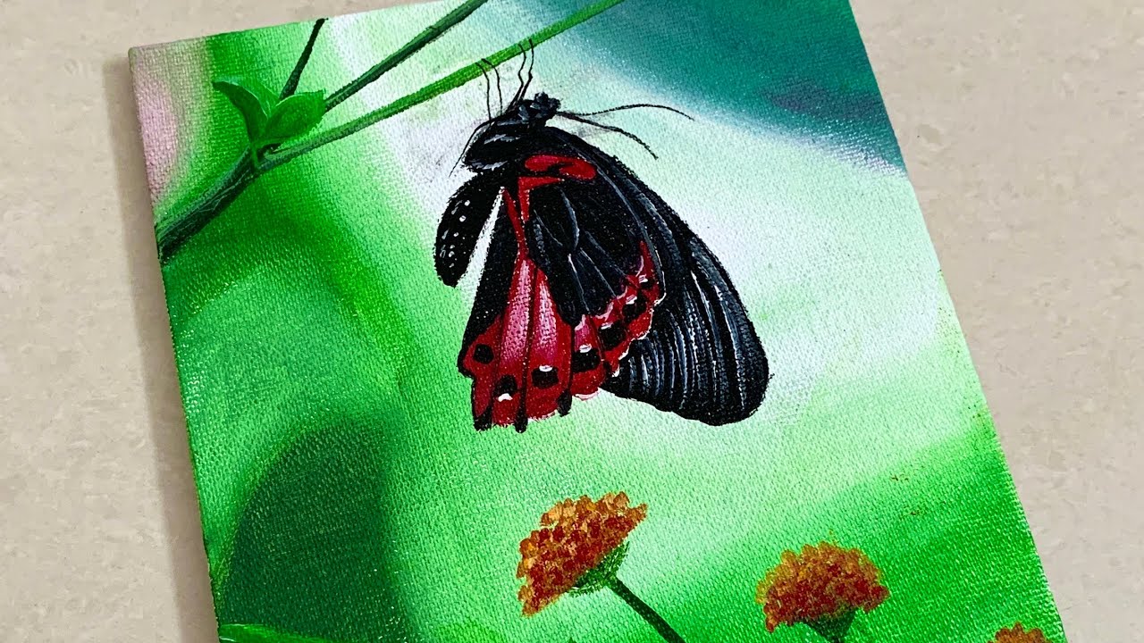 Illustration butterfly colorful, acrylic painting