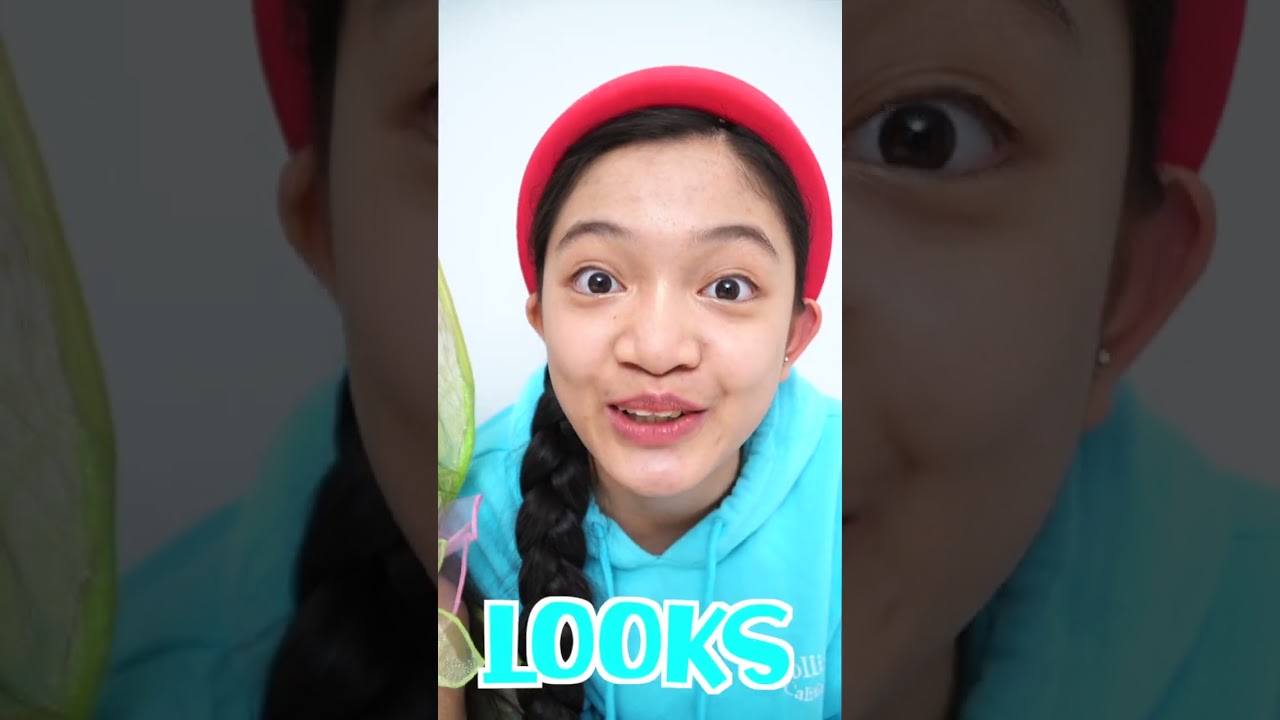 SUSHI GUMMIES | KAYCEE & RACHEL in WONDERLAND FAMILY 