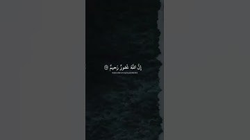 اكتب شي تؤجر عليه 🤍 | القارئ عبدالرحمن مسعد | قرآن كريم