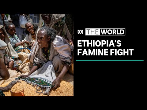 United Nations declares Ethiopia's Tigray region suffering famine conditions The World