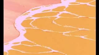 johnny hates jazz ⋆ different seasons ✦ slowed ⋆ reverb