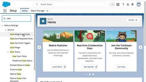 Creating Case Team Roles in Salesforce