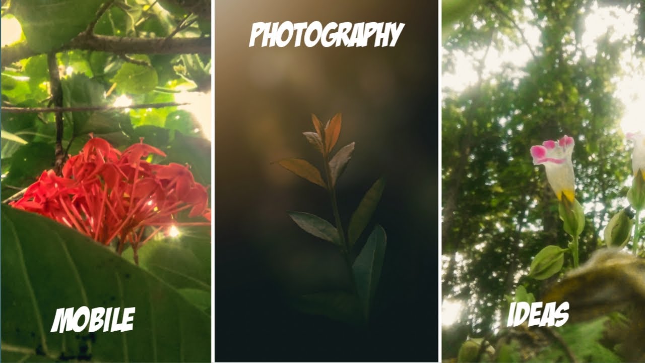 5mobile photography ideas | home mobile photography | 