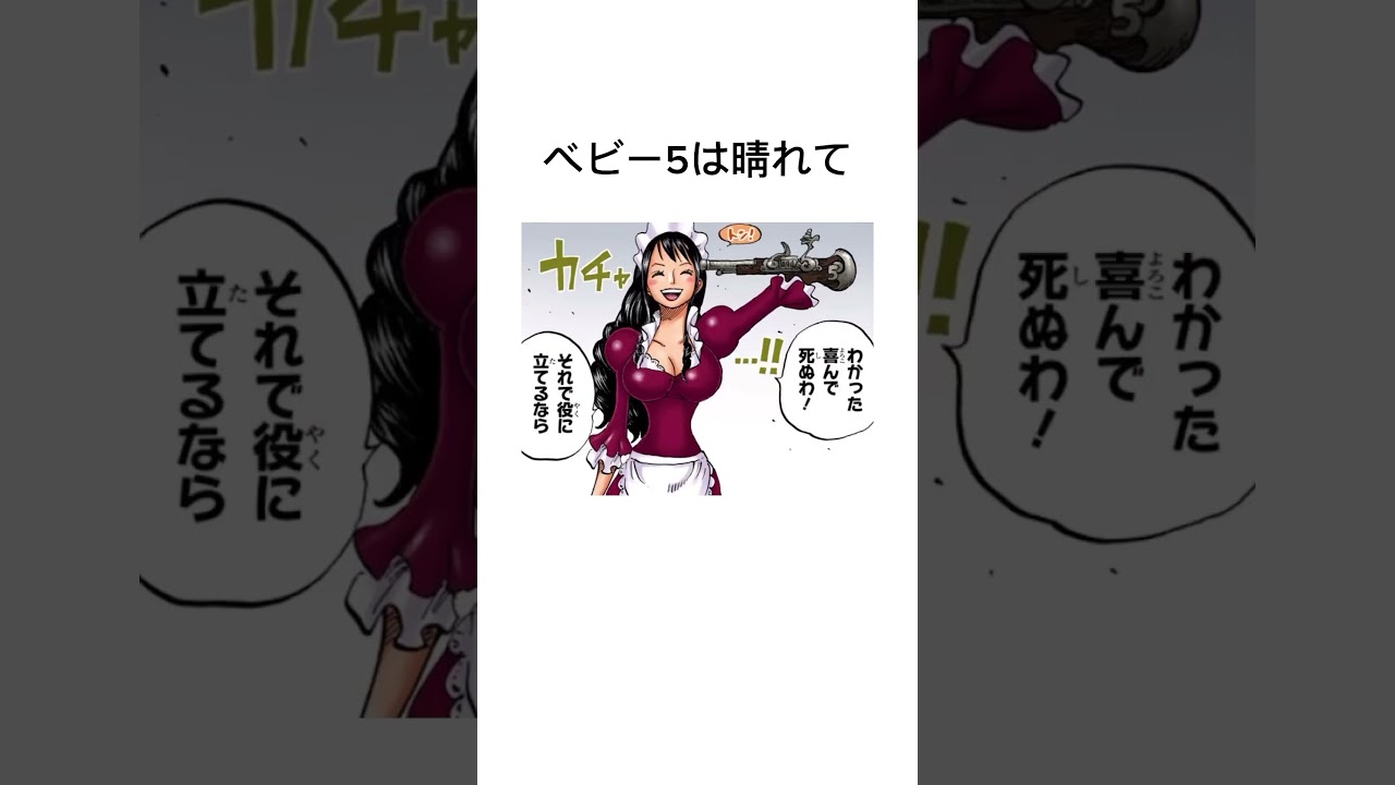 【衝撃】ワンピースのベビー5に隠された秘密がやばすぎる　