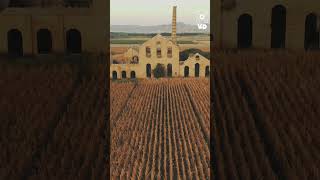 Cigüeñas al atardecer, Antigua Raperie Cortes, Spain 🇪🇦 #storks #drones #abandoned #lugares #travel
