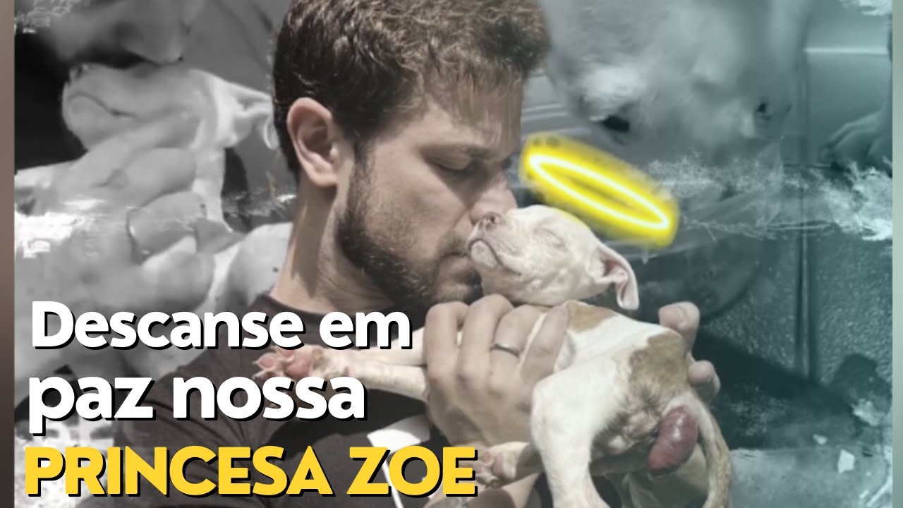 Descanse em paz, nossa princesa ZOE