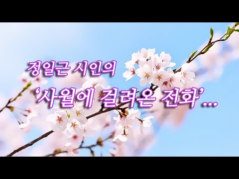 정일근 시인 - 사월에 걸려온 전화