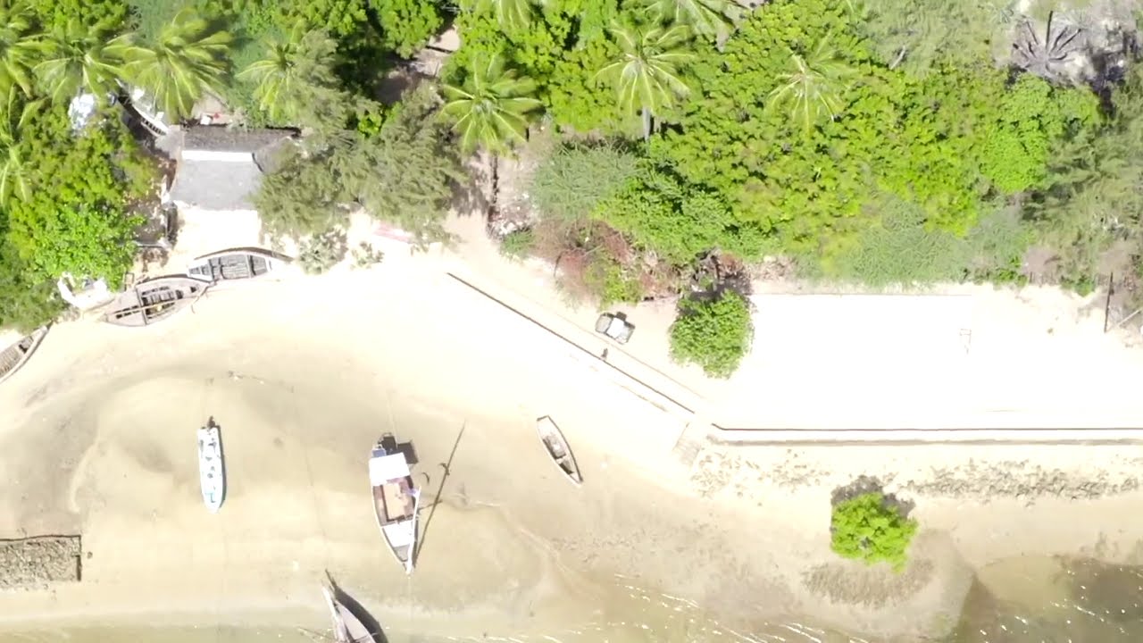 The Shamba 12 ACRES Fertile Land For Sale on LAMU ISLAND YouTube