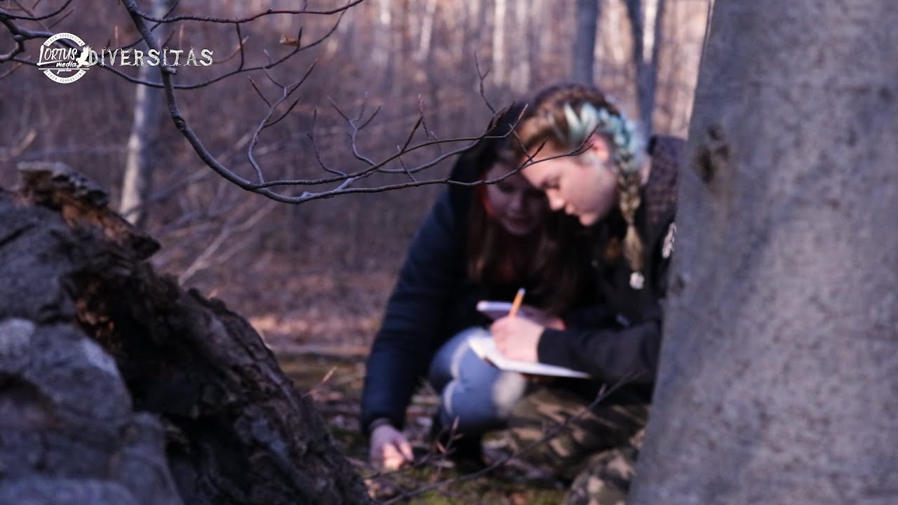 Diversitas S01 E05 Martovka (Hygrophorus marzuolus)