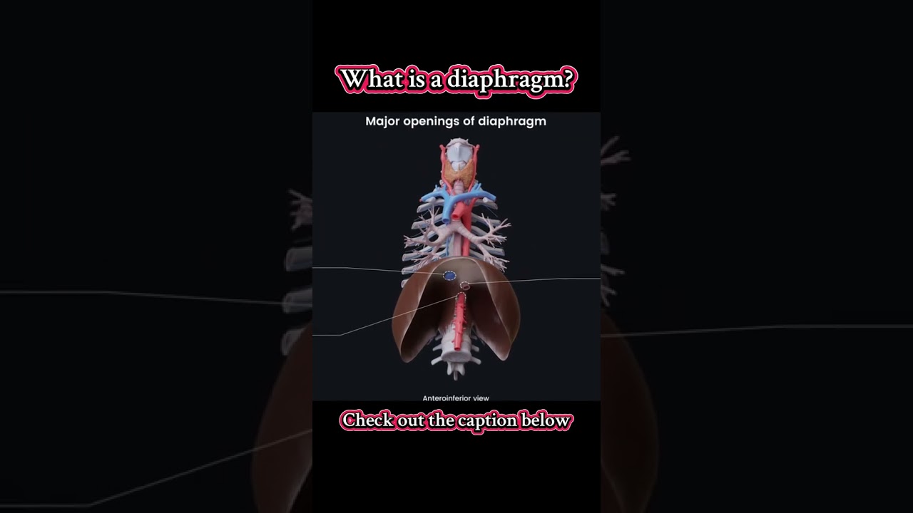 God gave you lungs to breathe with. take care of them. 