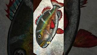 Before Cameras, Japanese Fishermen Used This Incredible Trick! 🎣