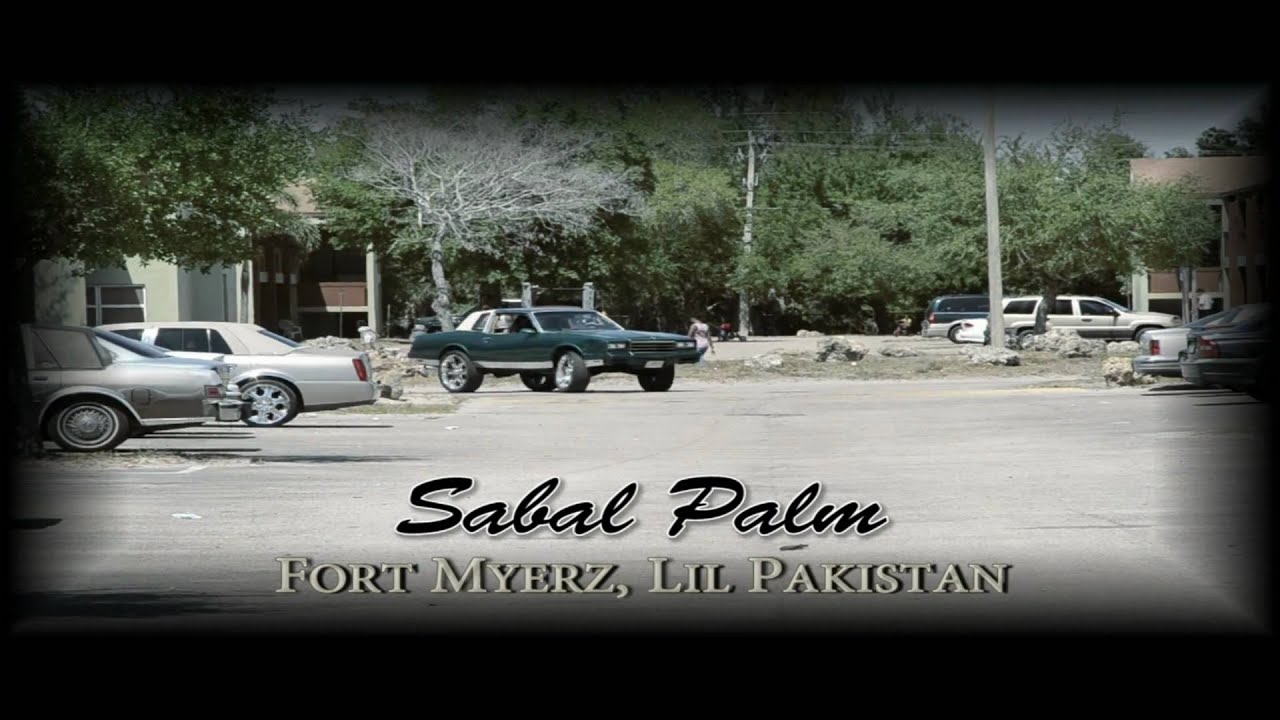 The Official Music Video 239Turk & Frank Lini 