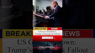 🚨 US Govt Shutdown Explained in 45 Seconds | Trump’s Risky Move