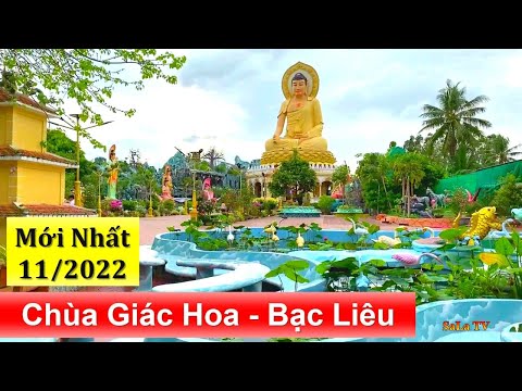 Video Chùa Giác Hoa Bạc Liêu (Cô Hai Ngó) Ngôi Chùa Có Tượng... - youtube
