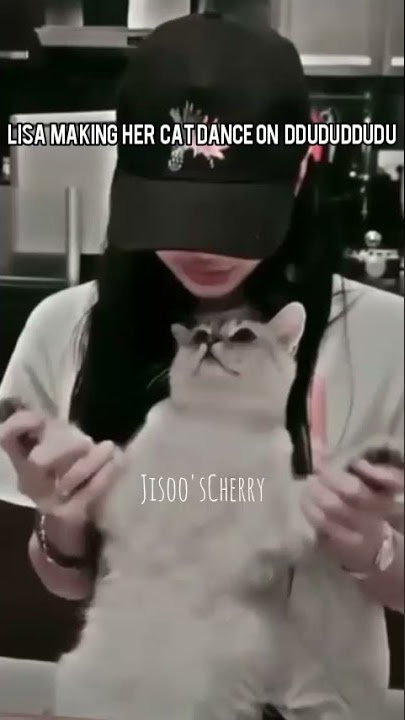 Lisa's cat dancing on ddu-du-ddu-du😸🌹#shorts#mykpop#jisooscherry🍒