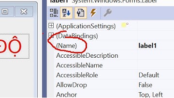 VIsual C# Window form
