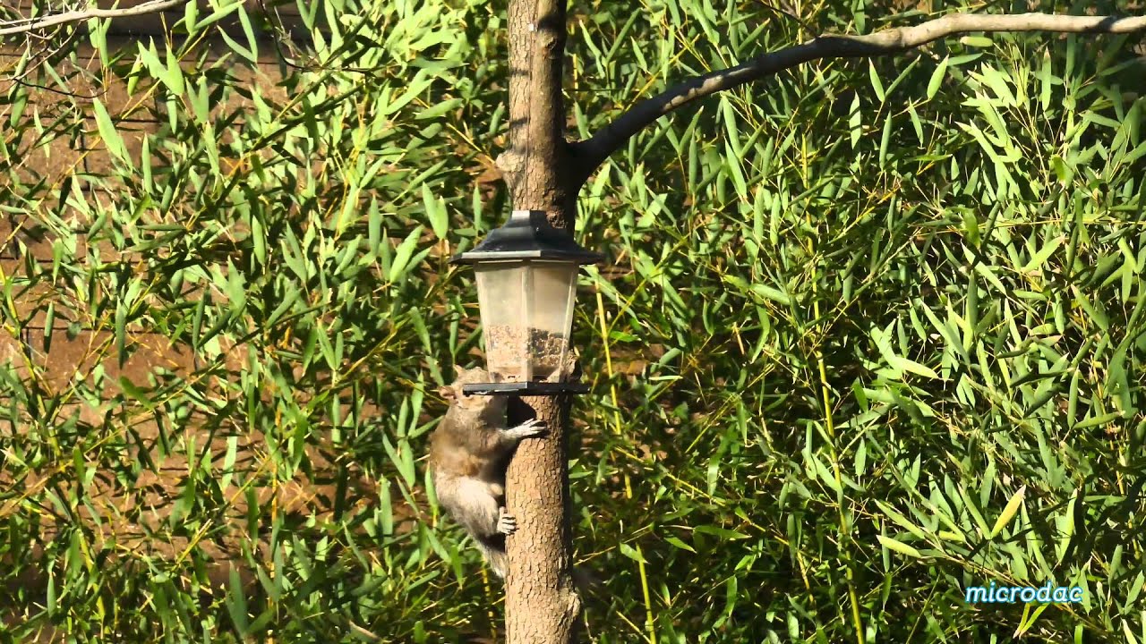 Stay Home - Make Money (Part 3): The Downside 