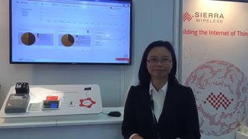 Enabling energy service delivery - Smart Energy Demo