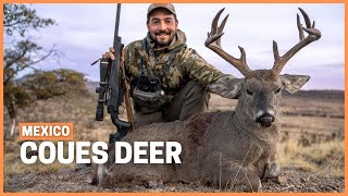Hunting the most elusive whitetail: Coues deer hunting in Mexico.