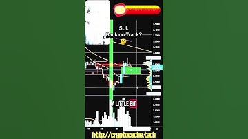 SUI: Back on Track? 🤔 #sui #crypto #trader #update