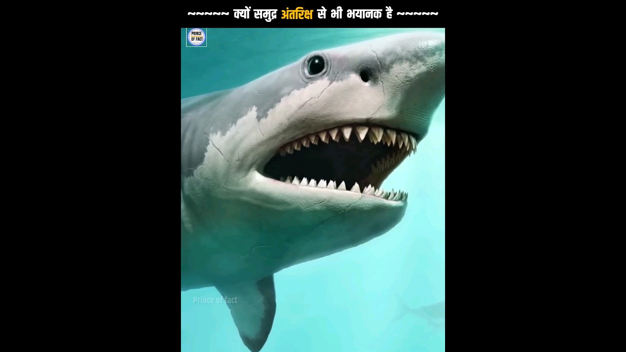 क्यों समुद्र अंतरिक्ष से भी भयानक है 🤔❗ Interesting facts #shorts #facts