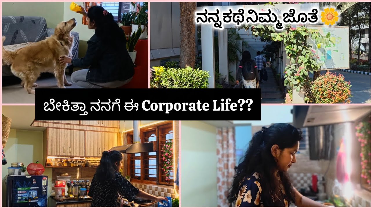 ನನ್ನ ಕಥೆ ನಿಮ್ಮ ಜೊತೆ 💔 | How I Entered Corporate Life