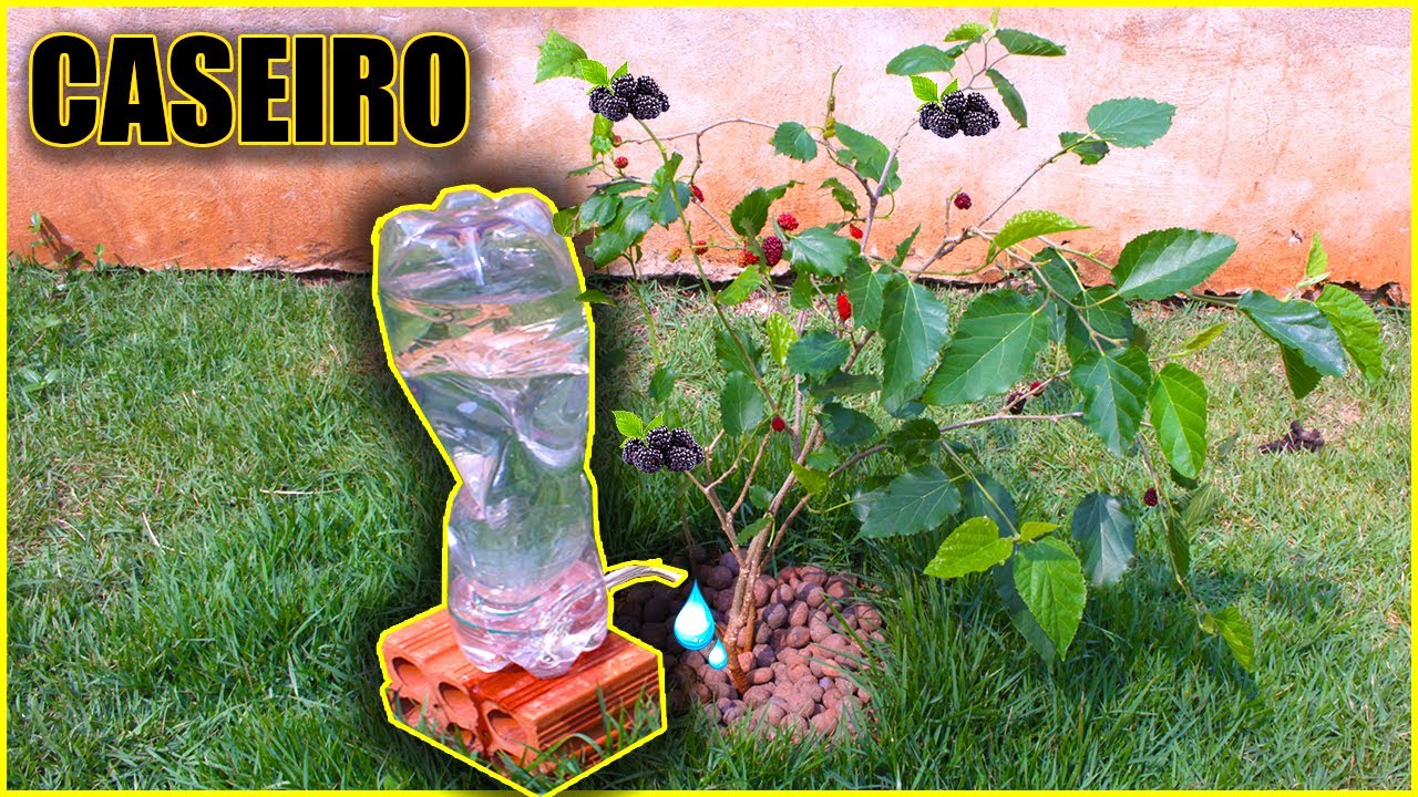 Como Fazer Um Gotejador Caseiro ( IRRIGADOR AUTOMÁTICO PARA PLANTAS )