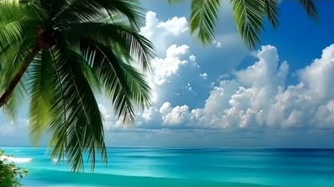 4 - سورة النساء كاملة| القارئ محمد الفقيه حفظه الله | اللهم اجعل القرآن العظيم ربيع قلوبنا ونور