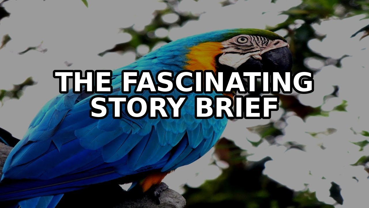 The Fascinating Story of Brief stunning moments from the wild