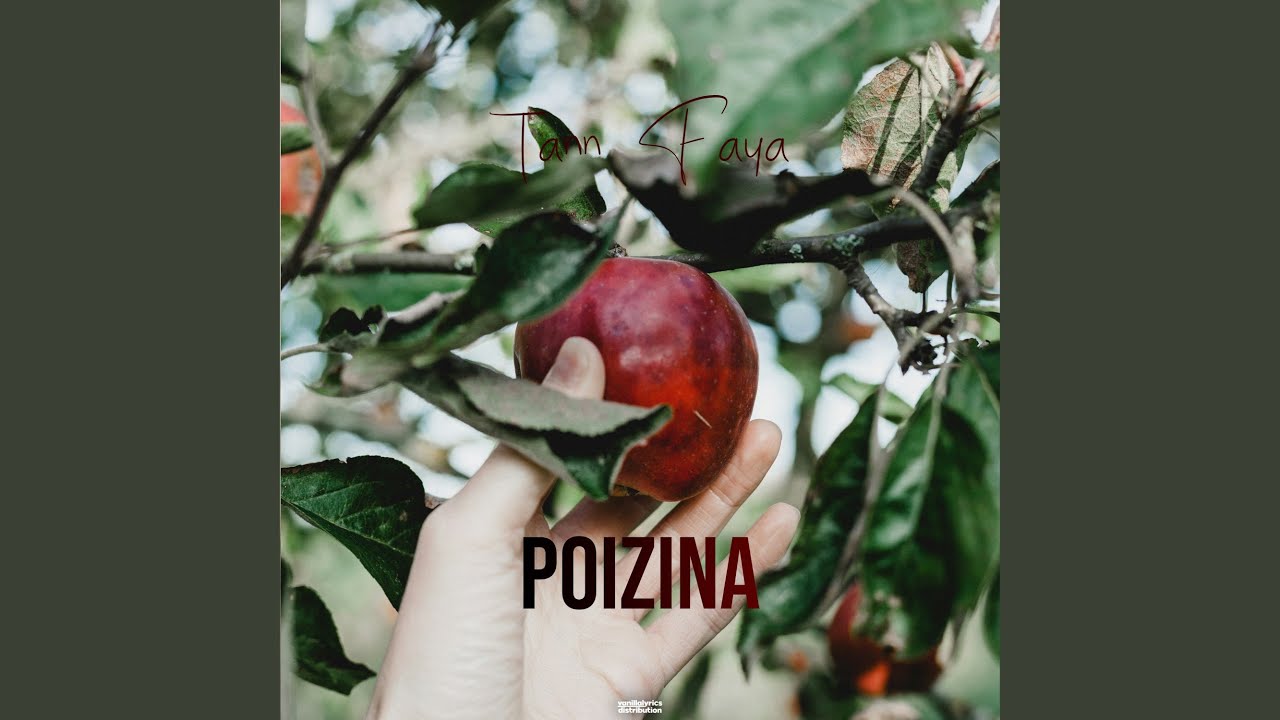 POIZINA