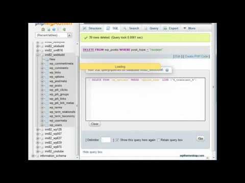Make Wordpress Faster with Some SQL Queries