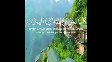ستوريات انستا دينيةجديدة// أجمل حالات واتس اب دينية جديدة//القارئ: احمد علي العجمي //بدون حقوق