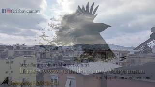 Gökyüzünde Gösteri - The Crow / Kusursuz Manevra [HD] © Resimi