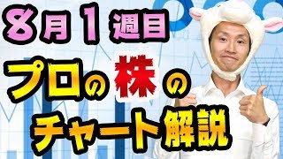 日経平均株価とNYダウのチャートを解説【山本太郎氏のれいわ新選組とフォード決算と円高からの株価急落に注意】